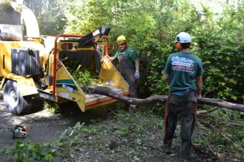 tree services Independence